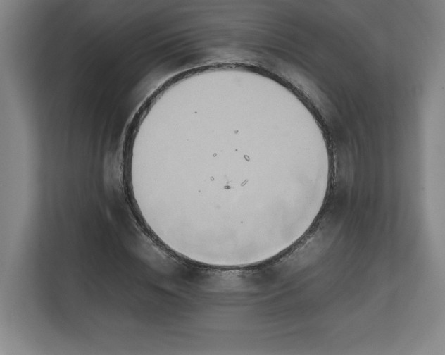 X0000111210828200907081300