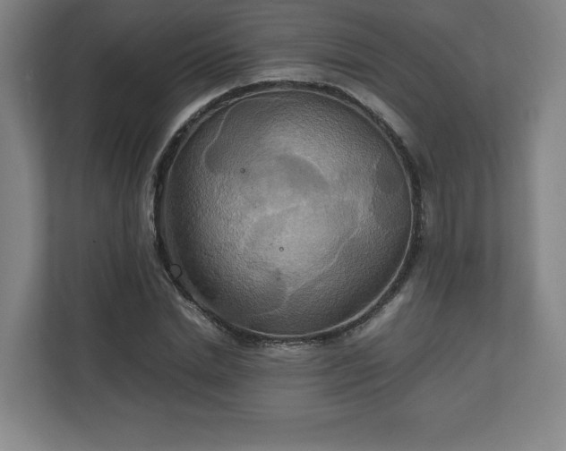 X0000111210830200907081300