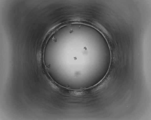 X0000111210831200907081300