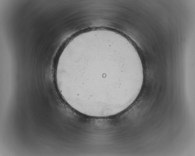 X0000111210832200907081300