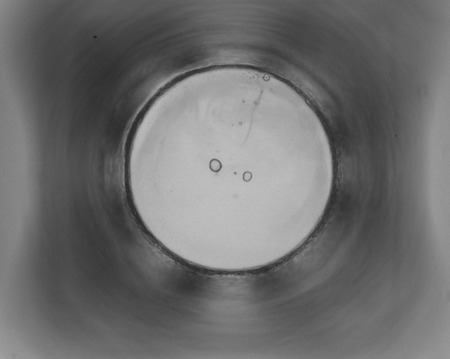 X0000111210836200907081300