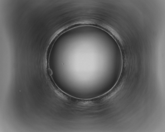 X0000111210837200907081300