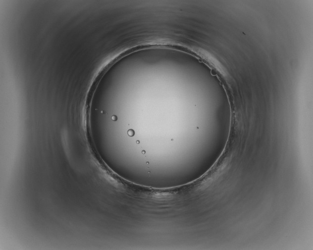 X0000111210839200907081300