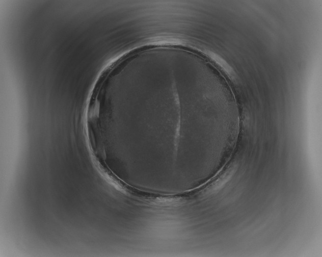 X0000111210840200907081300