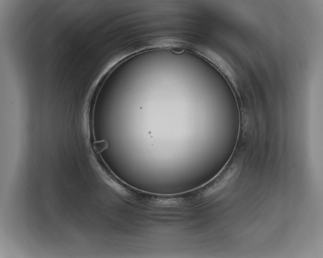 X0000111210843200907081300