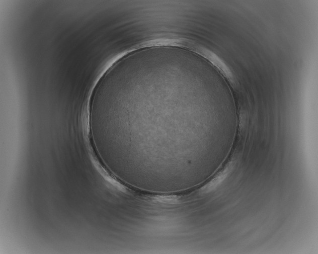 X0000111210844200907081300