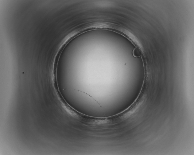 X0000111210845200907081300