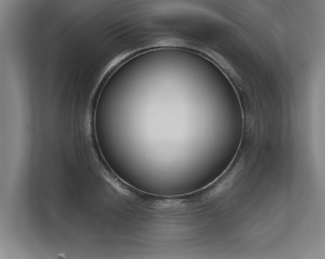 X0000111210846200907081300