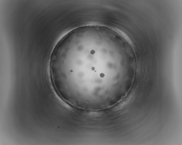 X0000111210847200907081300