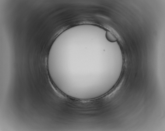 X0000111210849200907081300