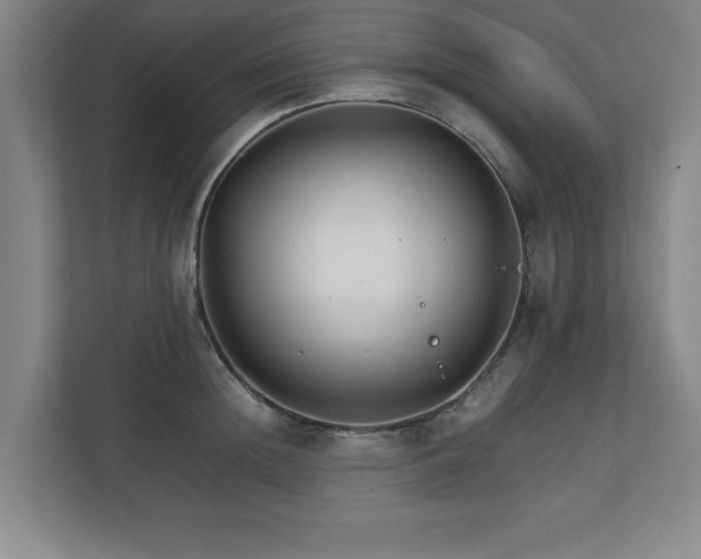 X0000111210852200907081300