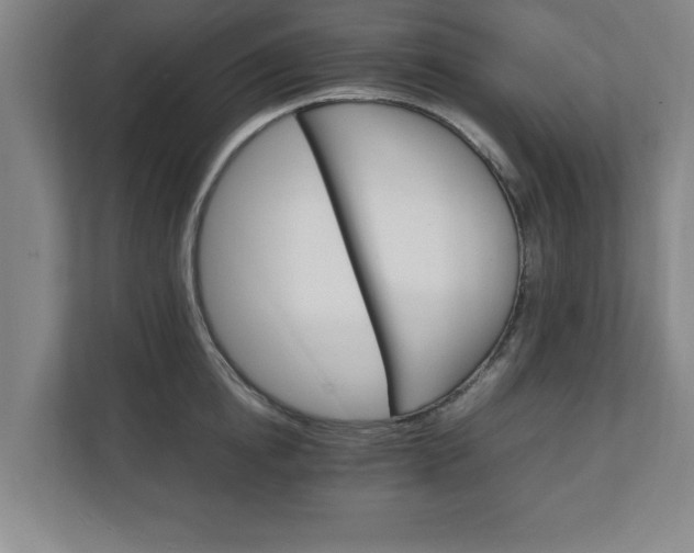 X0000111210854200907081300