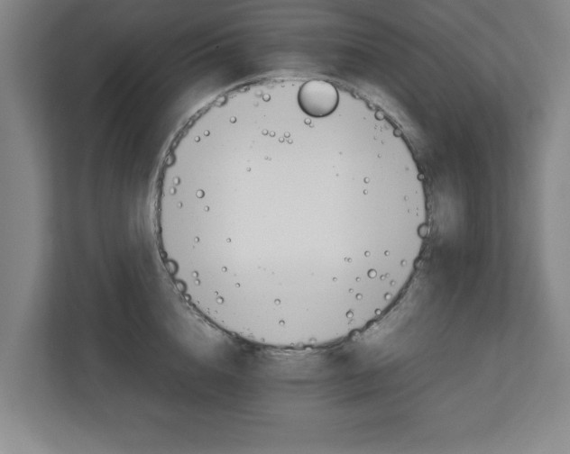 X0000111210856200907081300