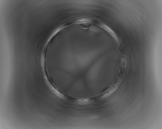 X0000111210859200907081300