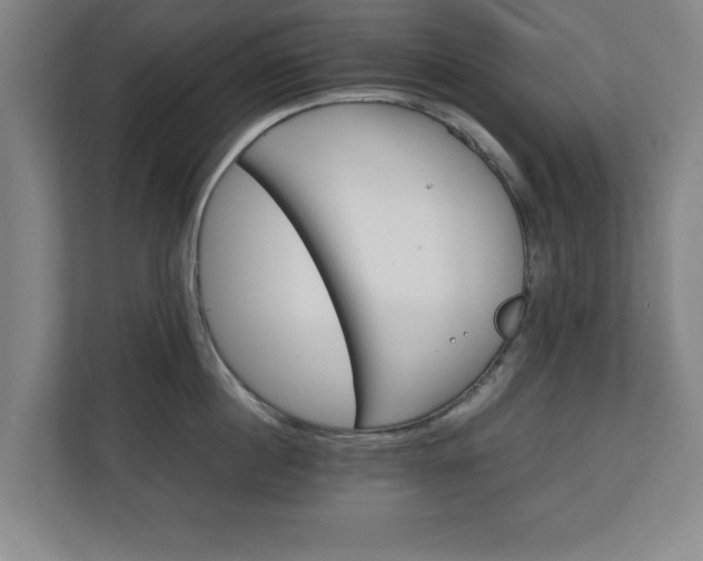 X0000111210860200907081300