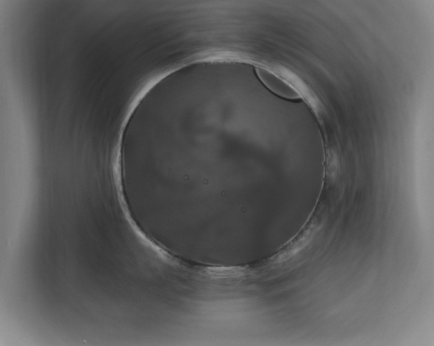 X0000111210863200907081300