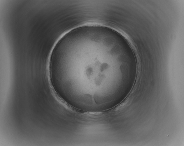 X0000111210864200907081300