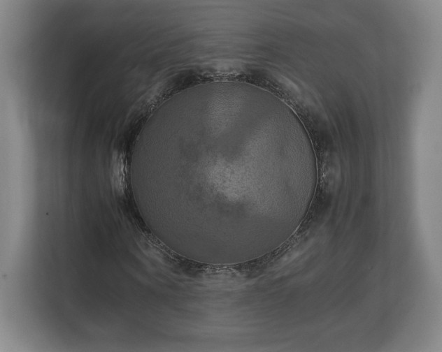 X0000111210866200907081300