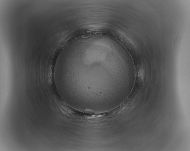 X0000111210868200907081300