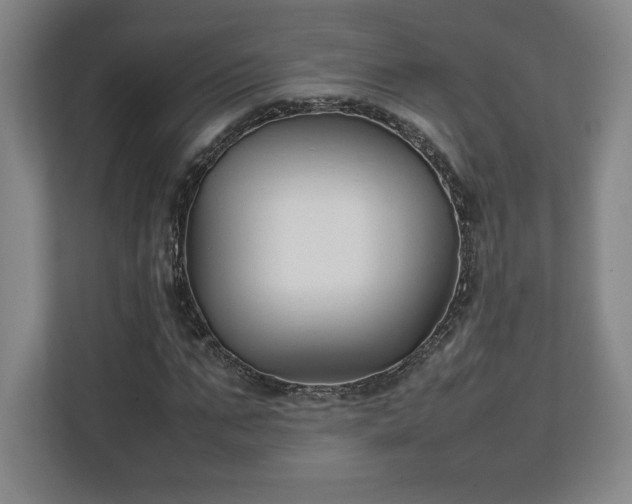 X0000111210871200907081300