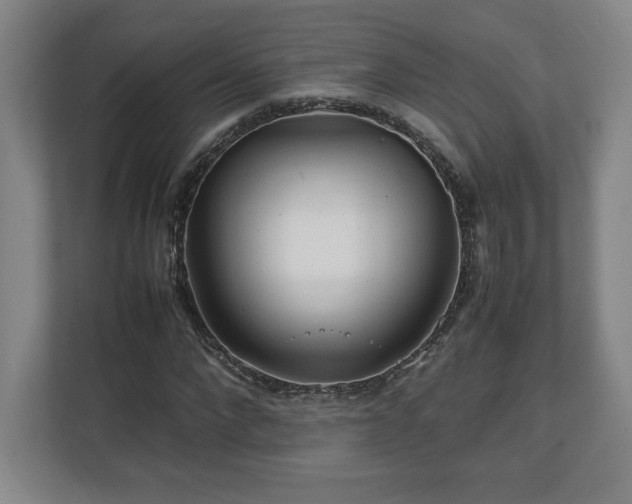 X0000111210872200907081300