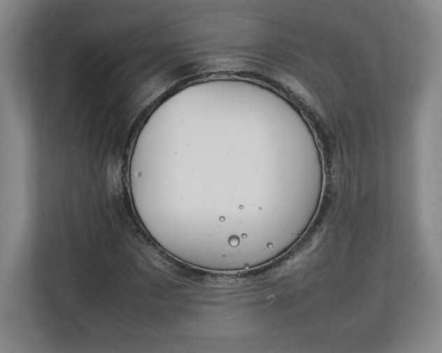 X0000111210873200907081300