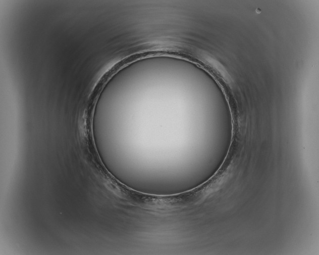 X0000111210875200907081300