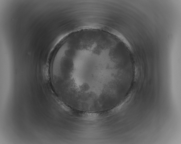 X0000111210878200907081300