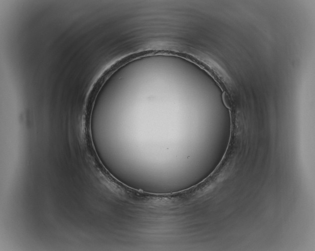 X0000111210880200907081300