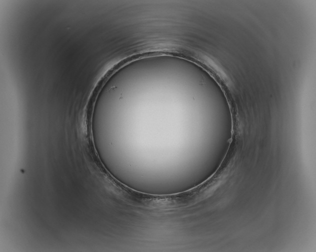 X0000111210883200907081259