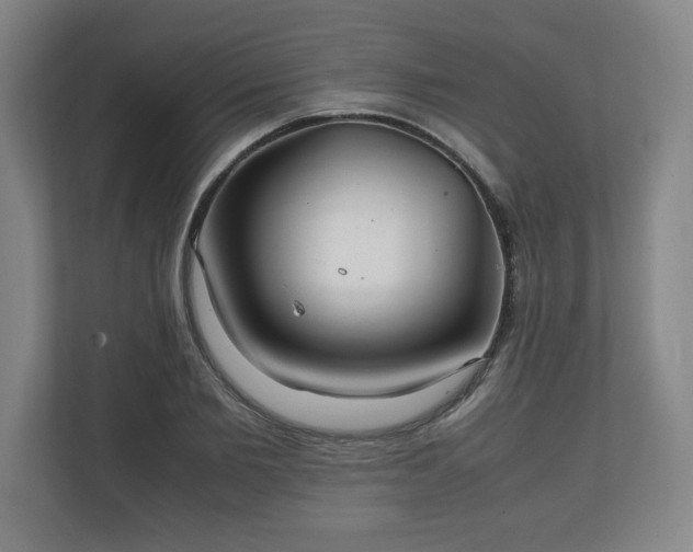 X0000111210885200907081259