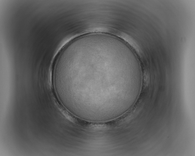 X0000111210886200907081259