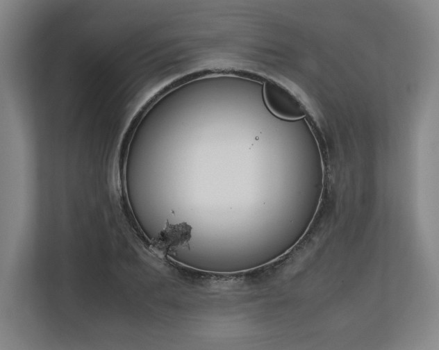 X0000111210887200907081259