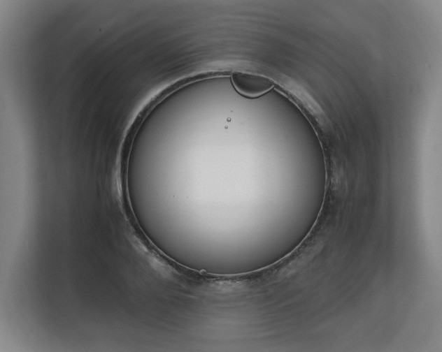 X0000111210888200907081259