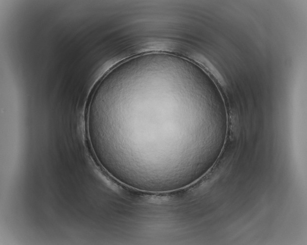 X0000111210890200907081259