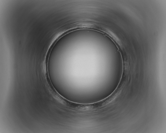 X0000111210891200907081259