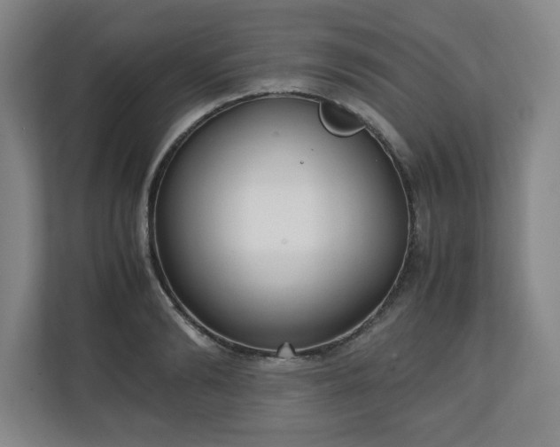 X0000111210894200907081259