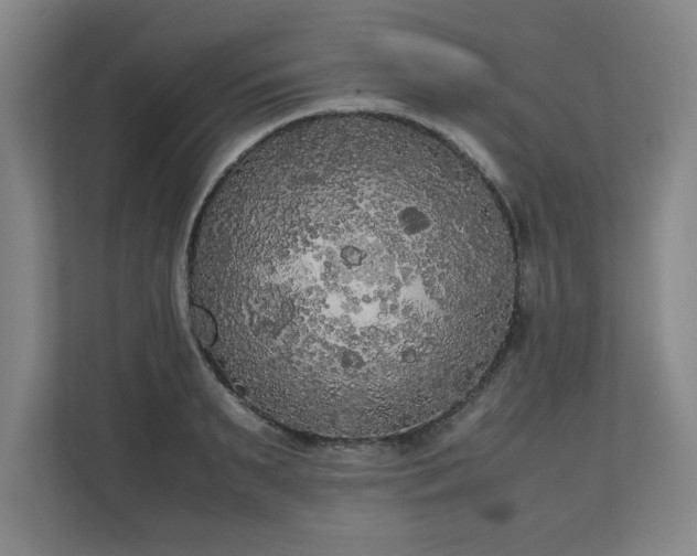 X0000111210895200907081259