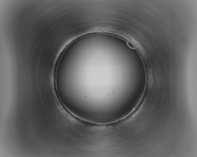 X0000111210896200907081259