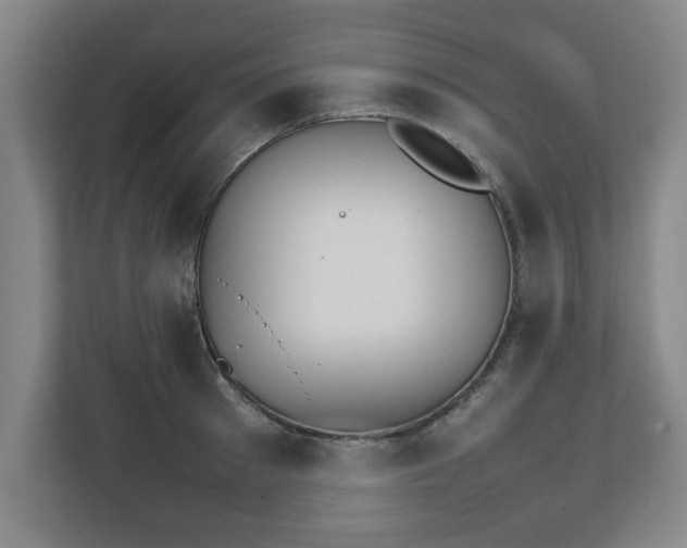 X0000111210897200907081259