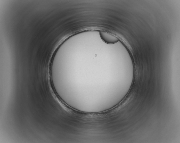 X0000111210898200907081259