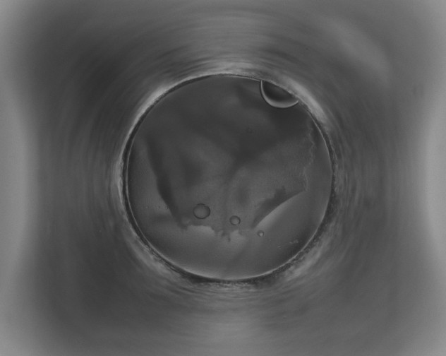 X0000111210899200907081259