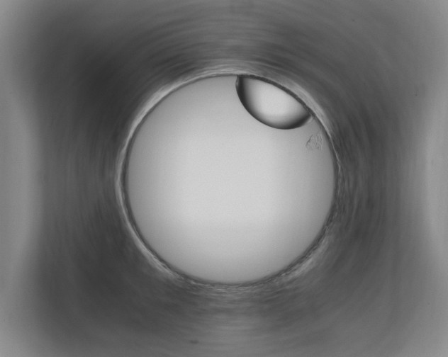 X0000111210901200907081259