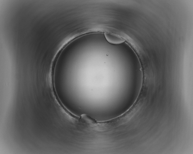 X0000111210902200907081259