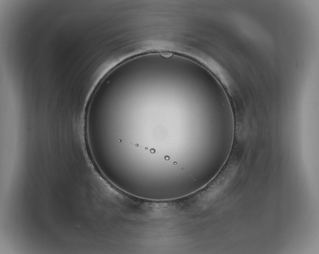 X0000111210903200907081259