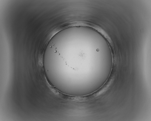 X0000111210905200907081259