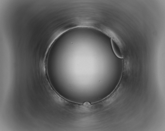 X0000111210908200907081259