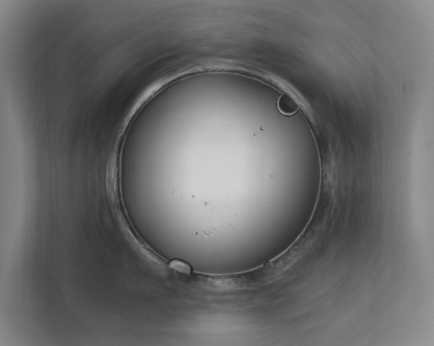 X0000111210911200907081259