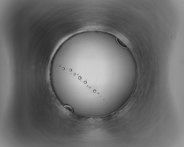 X0000111210912200907081259