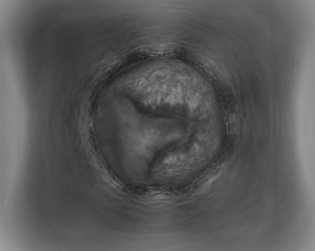 X0000111210913200907081258